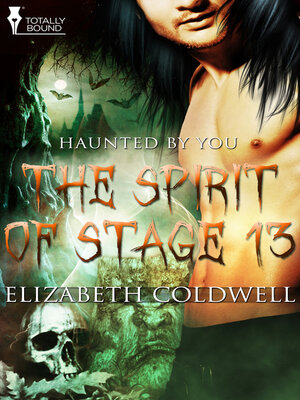 cover image of The Spirit of Stage 13